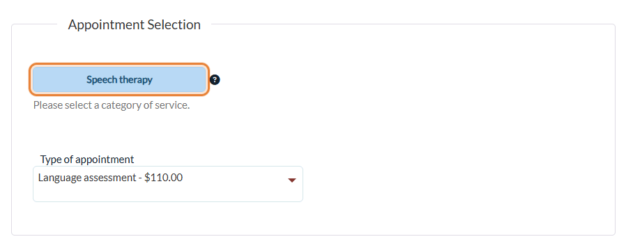 Category and appointment type on the booking page in English