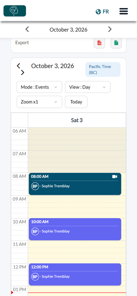 Scheduler in the Day view on a phone