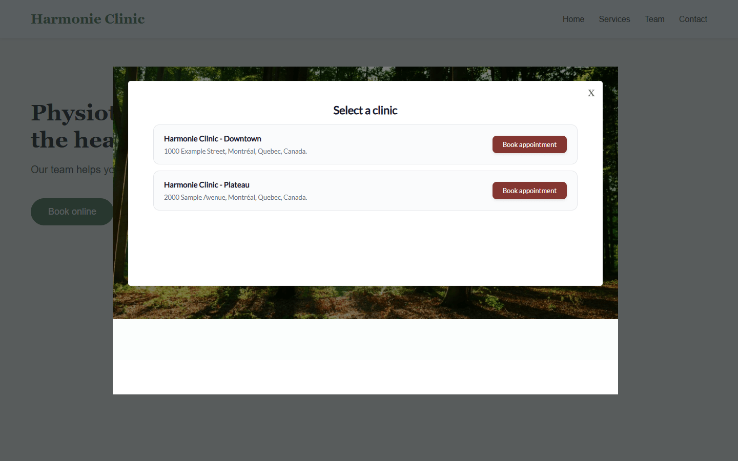 Booking window opened on a clinic website