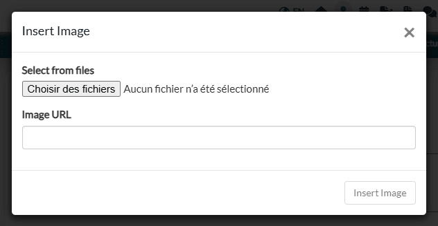 Fenêtre Insert Image avec le bouton Choisir des fichiers et le champ Image URL