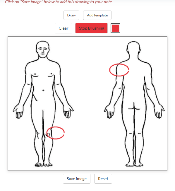 Drawing in red on the Body template