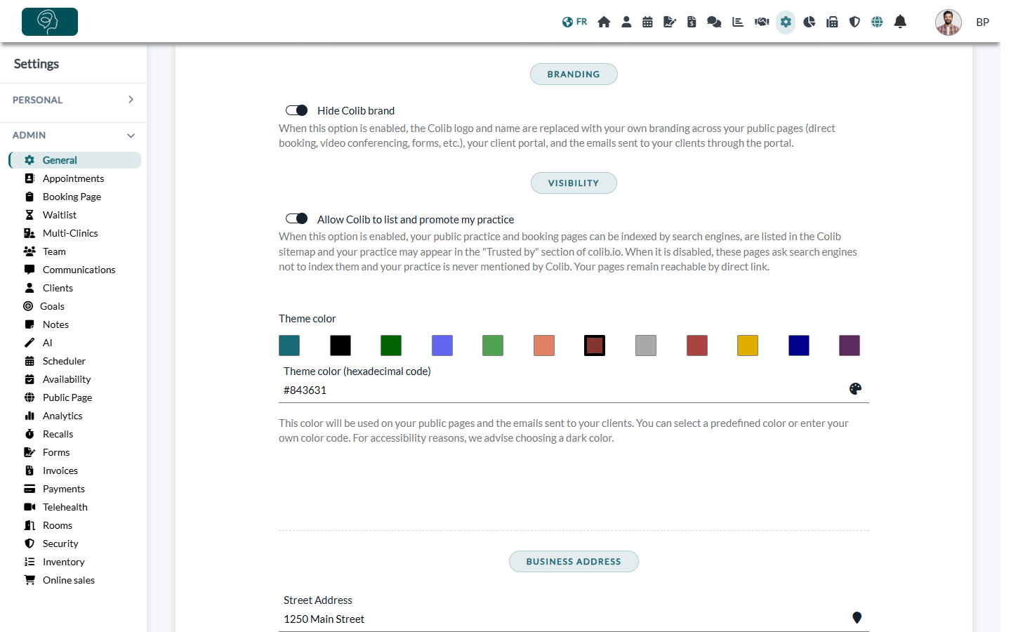 Branding and Visibility options, and the theme color palette