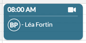 Appointment with the online meeting icon
