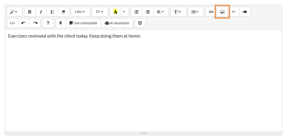 Picture icon in the toolbar of the text editor