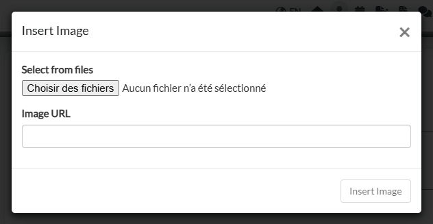 Fenêtre Insert Image avec le bouton de choix de fichier et le champ Image URL
