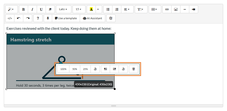 Image toolbar with the size, alignment and delete buttons