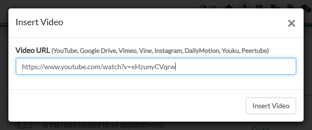 Insert Video window with a YouTube address in the Video URL field